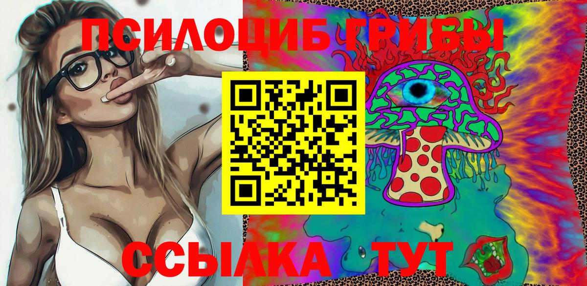 Курган  Галлюциногенные грибы Psilocybine cubensis  Вход с VPN  Галлюциногенные грибы мухоморы 